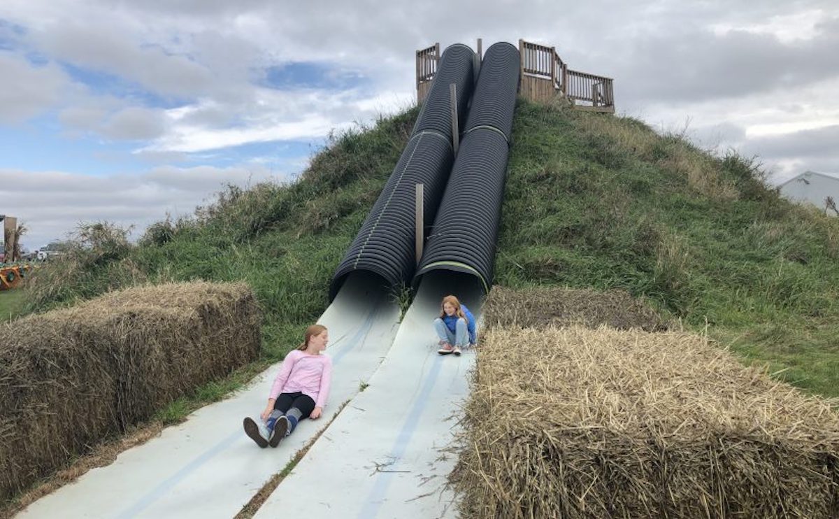 Family fun moment 2